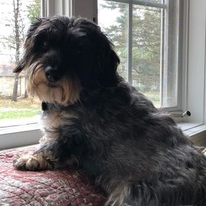 Meet your Posher, Clare